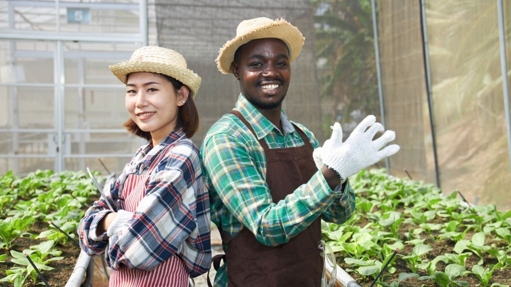 Farmer