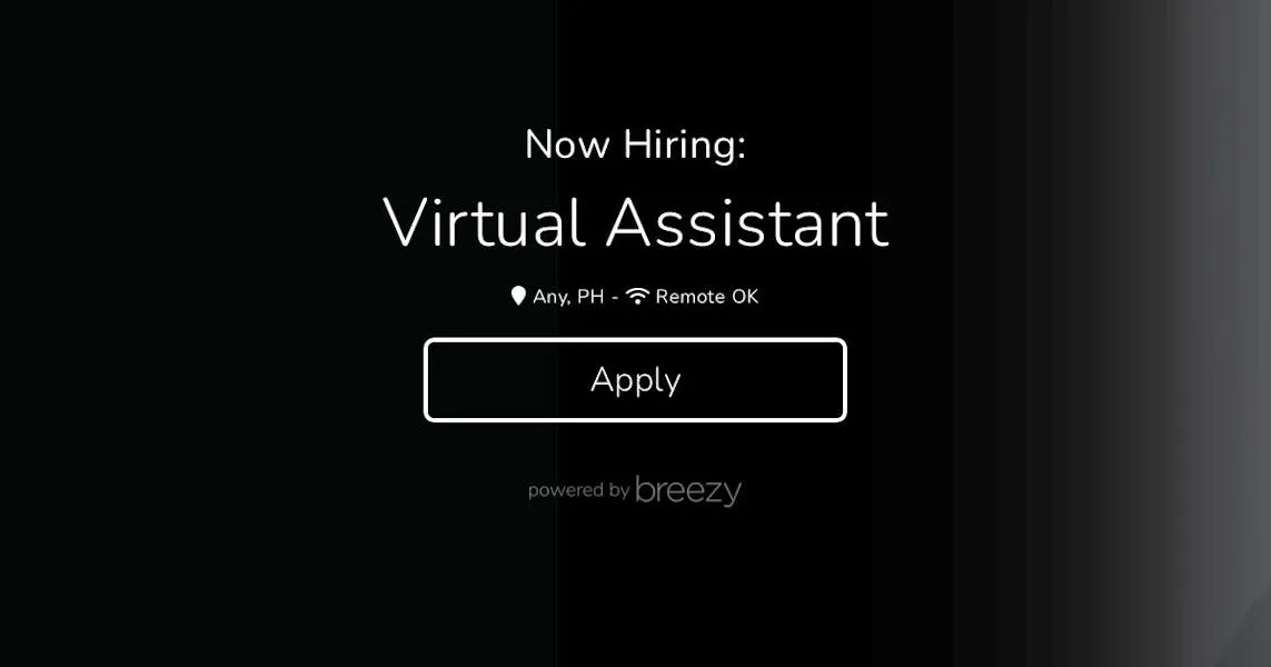 Remote Virtual Assistant at Sirius Support